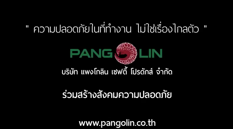 pangolin-shoe-youtube-ads