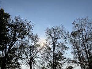 วัดป่า ที่ ชัยภูมิกับพี่หมีเสเพล