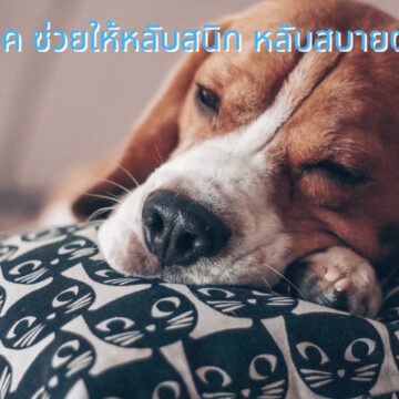 10 เทคนิค ช่วยให้หลับสนิท หลับสบายตลอดคืน