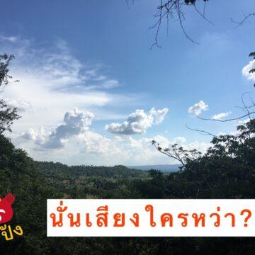 นั่นเสียงใครหว่า หมีสายมู