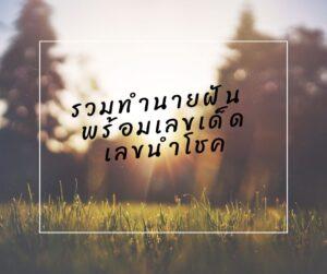 รวมทำนายฝันพร้อมเลขเด็ด เลขนำโชค มามูมะ